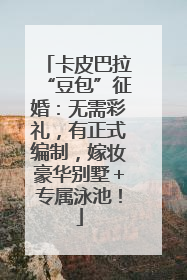 卡皮巴拉“豆包”征婚：无需彩礼，有正式编制，嫁妆豪华别墅＋专属泳池！